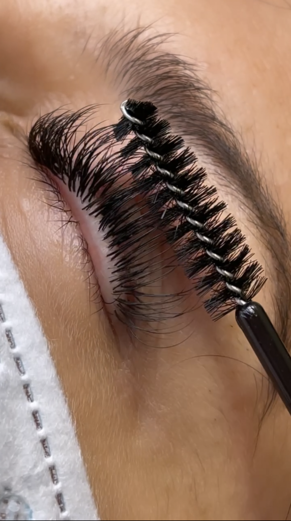 Mega-Volume Lash Extension Training - Tuanilash